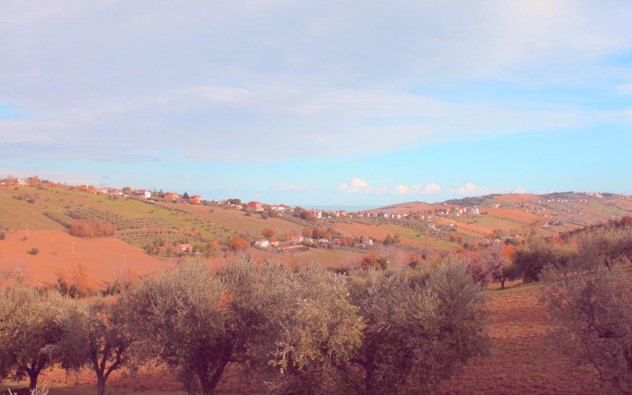 פרמו B&B L'Alloggio מראה חיצוני תמונה